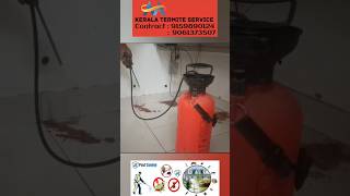 Treatment  termite  pest control service  overall kerala call now more detail termite shorts [upl. by Brantley485]