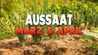 AUSSAAT im März amp April  Gartenzeit [upl. by Malissia]