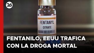 🚨 Fentanilo los mismos estadounidenses trafican en su país la droga mortal [upl. by Ahens292]