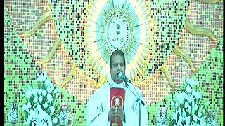 kaloor St Antonys ChurchFr Martin Azhikkakath celebrating mass [upl. by Nanreik]