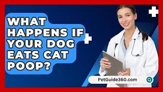 What Happens If Your Dog Eats Cat Poop  PetGuide360com [upl. by Ivanna]