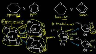 BIOCHEM 5  Cyclization of Monosaccharides [upl. by Lymn]