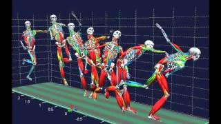 Biomechanical analysis [upl. by Llerreg608]