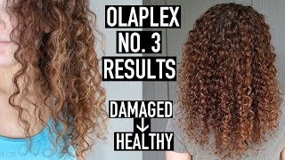 Olaplex No 3 Before amp After Results  How to Use Olaplex to Repair Damaged Curly Hair [upl. by Nauqaj]