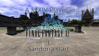 A Final Fantasy player in Final Fantasy XI 1 [upl. by Oberg]