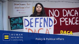 LGBTQ Dreamer Erika Castro on importance of DACA [upl. by Ainola]