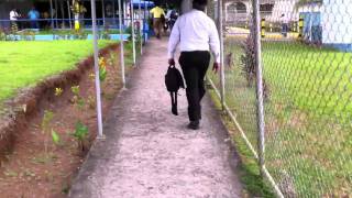 Aeropuerto de Bluefields Nicaragua Bluefields Nicaragua Airport [upl. by Mccurdy564]