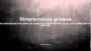 Medical vocabulary What does Streptomyces griseus mean [upl. by Amalburga]