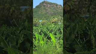 Traveling from Nagercoil to Padasala in kerala 1 [upl. by Anyat]