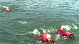 Girls learning to swim at Pong Dam [upl. by Suoivart993]