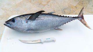 How To Fillet Whole Blackfin Tuna [upl. by Adivad53]