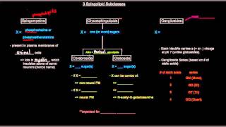 Lipids Part 9 of 11  Membrane Lipids  Sphingolipids [upl. by Yorke]