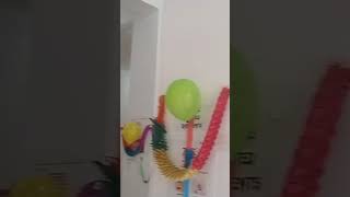 youtube youtubeshorts diwali decoration festival shadowfax [upl. by Packston]