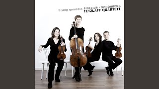 Sibelius String Quartet in D Minor Op 56 quotVoces intimaequot V Allegro  Piu allegro [upl. by Ayenet276]