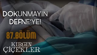 Kızlar mafyanın elinden kurtulabilecek mi  Kırgın Çiçekler 87Bölüm [upl. by Wasserman298]