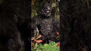 Menlo Park Mall Edison NJ November Part 3 Rainforest Cafe 11162024 foxpix morriscountynj [upl. by Jezabelle]