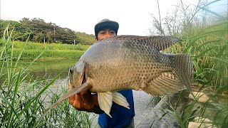 Mancing Ikan Nila Babon Liar Terbanyak [upl. by Savvas663]