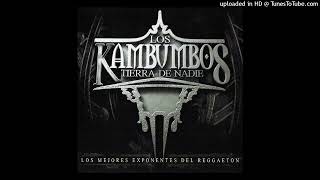 22 Ã‘engo Flow Ft Guayo Man â€“ Cocotazos Los Kambumbos Tierra De Nadie [upl. by Ydur]