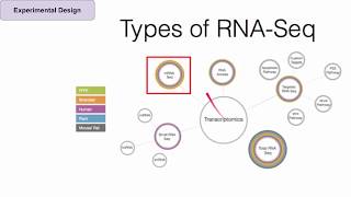 Introduction to RNASeq for Researchers [upl. by Trebbor]