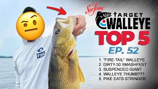 Target Walleyes Top 5 of the Week 🔥 Ep 52 [upl. by Angelis]