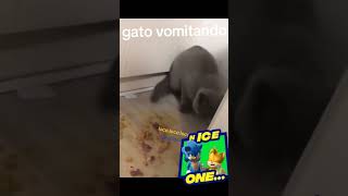 Gato vomitando 2 [upl. by Arella]