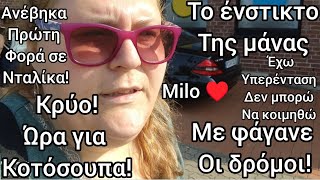 vlog τοένστικτομαγειρικήυπερέντασηmiloανέβηκα σενταλίκαδρόμοιthelife inGermany [upl. by Groark]