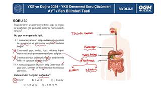 Biyoloji AYT Türkiye Geneli Deneme Sınavı Soru Çözümleri [upl. by Andryc]