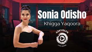 Sonia Odisho  Khigga Yaqoora Assyrian Live Songs Chicago 2024 [upl. by Ekez74]