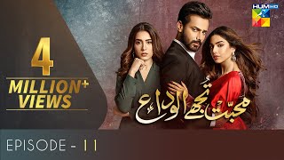 Mohabbat Tujhe Alvida Episode 14 HUM TV Drama 16 September 2020 [upl. by Nnyleve]