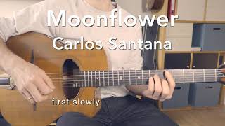 Moonflower  chord lesson with tab  gypsy style [upl. by Greerson508]