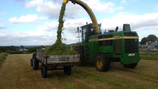 Yellow Belly 35 massey ferguson side filling grass [upl. by Dlonra]