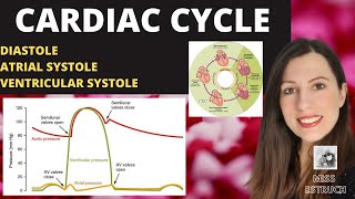 The Cardiac Cycle is SO EASY Stop Making it Hard [upl. by Haniraz975]