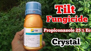 Propiconazole 25 Ec  Tilt Fungicide  Crystal Crop Protection [upl. by Jonette842]