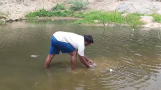 எங்கள் சின்னாற்றில் மீன் பிடித்தல் Alappaṟaikaḷ vivasaayi magan fishing விவசாயின்மகன் [upl. by Tychon]