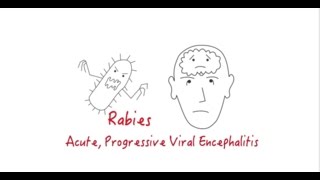 Introduction to Rabies [upl. by Edorej]