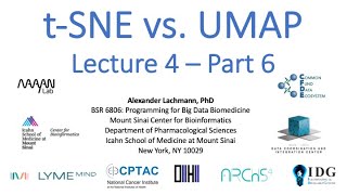 BSR 6806 Lecture 4  Part 6  tSNE vs UMAP  Alexander Lachmann  ISMMS  Spring 2023 [upl. by Tonl5]