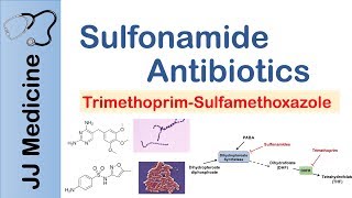 Sulfonamide Antibiotics  Bacterial Targets Mechanism of Action Adverse Effects [upl. by Paik]