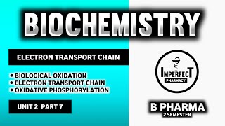 Electron Transport Chain  Oxidative Phosphorylation  Biological Oxidation  Biochemistry  B Pharm [upl. by Lev]