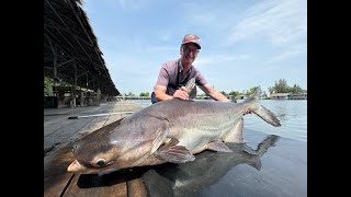 Thailand 2024 Part 2 Amazon BKK and Bungsamran Fishing Parks [upl. by Engenia]