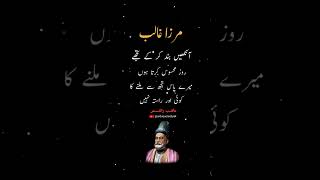 Mirza Ghalib Shayari goldenpoetry urdupoetry viralpost ytshorts viralvideo explore 1million [upl. by Wooldridge]