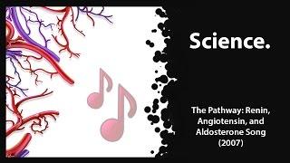 The Pathway Renin Angiotensin amp Aldosterone 2007 [upl. by Zerimar]