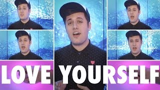 Love Yourself  Justin Bieber  A cappella cover  Nick Pitera [upl. by Aisena]