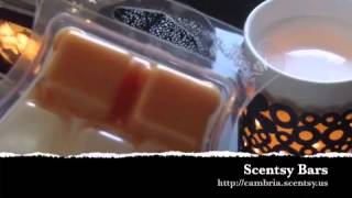 What is a Scentsy Bar How do I use Scentsy Wax [upl. by Beutler]