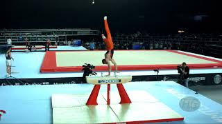 de VRIES Boudewijn NED  2017 Artistic Worlds Montréal CAN  Qualifications Pommel Horse [upl. by Yhtur631]