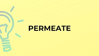 What is the meaning of the word PERMEATE [upl. by Luella]