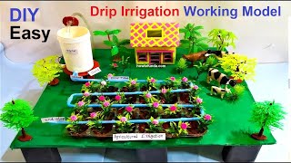 drip irrigation agriculture working model for science project exhibition  DIY  howtofunda [upl. by Remark564]