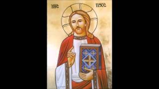 Father Antonious Tanios English Coptic Orthodox Liturgy [upl. by Arihk112]