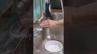 The Most Satisfying ASMR Dishwashing Sounds [upl. by Carrol]