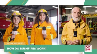 How do bushfires work [upl. by Yart428]