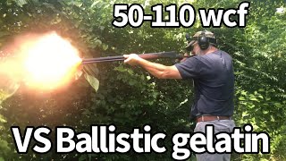 Original Blackpowder 1886 Winchester 50110 WCF loads VS ballistic gelatin [upl. by Yendor]